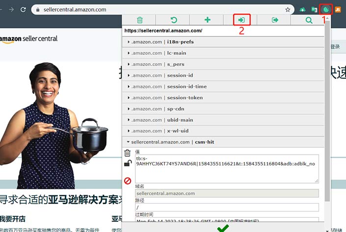 跨境卫士安全浏览器如何导入导出Cookie