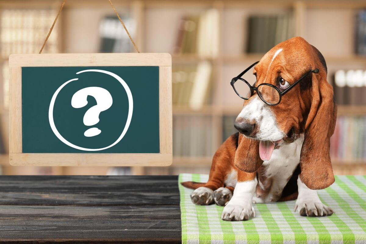 速卖通押金退还需要多久,速卖通退押金规则