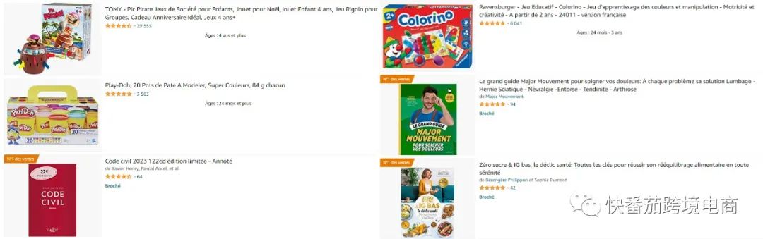 亚马逊法国站店铺推荐亚马逊法国站TOP10卖家