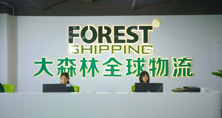 大森林物流-综合跨境物流服务商