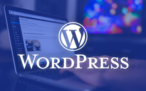 WordPress开源的建站系统