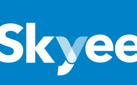 Skyee(收款易)-专业跨境电商收款平台